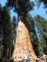 Sequoia National Park