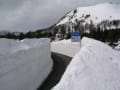 ２０１３　八甲田雪の壁