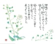 星野富弘＝詩・画