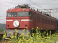 天燈茶房鉄道写真館