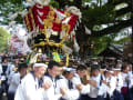 百舌鳥八幡宮ふとん太鼓（２００８年）宮入