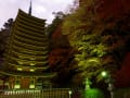 奈良　桜井　談山神社 　紅葉　ライトアップ