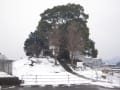 位登古墳（冬）（福岡県）