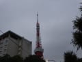 東京タワー・・・ライトアップ～素敵