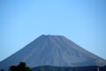 朝の散歩（駿河湾、漁船、富士山、トンビ、彼岸花）