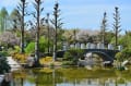 草津水生植物公園みずの森　4月16日