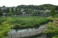 5月10日　春の町田市広袴公園で撮影