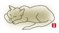 [25]猫（線画）.png