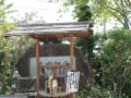 円照寺の美しい庭