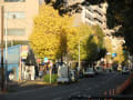 横浜大通り公園　2011年12月