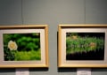 こども植物園写真展