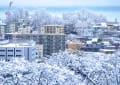 [1]yotutiの写真日記…小樽の雪景色