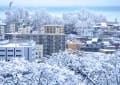 yotutiの写真日記…小樽の雪景色