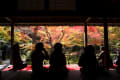 紅葉めぐり2014 圓光寺