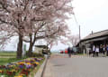 春の北条鉄道　・　法華口駅　（兵庫県）