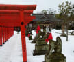 和田御崎神社