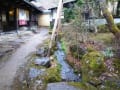 飛騨神岡でレールマウンテンバイク体験してきました