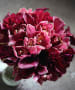 [22] burgundy bouquet
