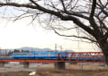 近江鉄道　愛知川橋梁　（滋賀県）