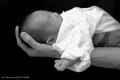 Newborn photo