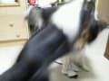 ラックとさん