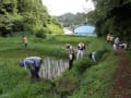 水稲の不耕起栽培　　写真・文章の無断転用・複写等はお止めください