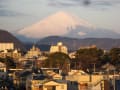 １月２９日（木）７時、平塚東海岸からの富士山、湘南平、箱根