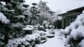 珍しい熊本市の雪景色