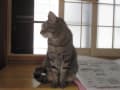 3年半ぶりの再開。