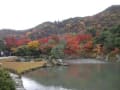 嵐山・渡月橋・天龍寺