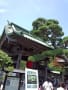 鎌倉　長谷寺の紫陽花、海光庵に行きました～