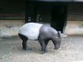 愛媛県立とべ動物園