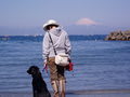 湘南から見る富士山