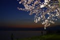 夜明け前の琵琶湖