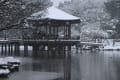 大雪になりました～in　奈良公園