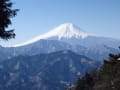 雪を求めて扇山へ