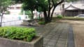 大規模公園清掃　夏の陣