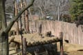 八木山動物園