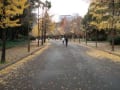 20111210大阪城公園ー天満橋