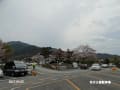05/02朝倉市：秋月城下町の桜模様、