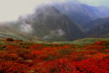 紅葉の谷川岳　‘１０-１０-６