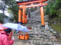 あの頃チャンネル(2010年03月21日～2010年03月27日)『豪雨の熊野古道』