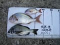 2012-九月の釣果(画像)