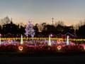 馬見丘陵公園　クリスマスウィーク