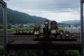 トロッコ列車に乗って嵯峨野から祇王寺貴船神社　床にもいきました。