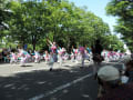 ＹＯＳＡＫＯＩソーラン祭り2