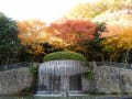 有馬　瑞宝寺公園の紅葉