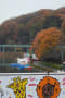 紅葉の東山植物園