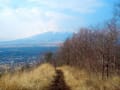 山梨県：鳥居地峠から高座山・杓子山往復　　20150314