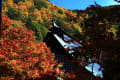 大町市霊松寺の紅葉とお葉付き銀杏